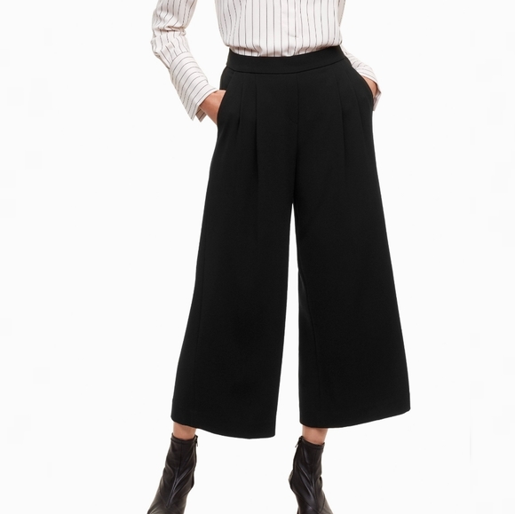 Aritzia Pants - Aritzia Babaton Clifford High Waist Wide Leg